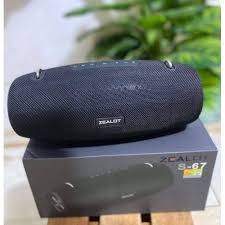 Zealot S67 Portable With 2 mic Wireless Bluetooth Speaker